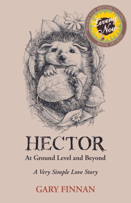 Hector at Ground Level and Beyond by Gary Finnan